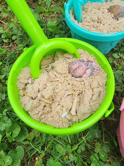 "Chum Bucket" Beach Fossil Dig Kit