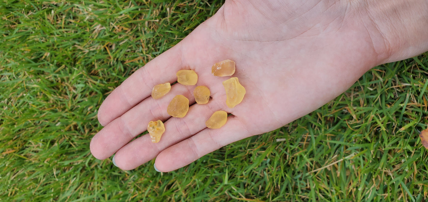 Copal Amber