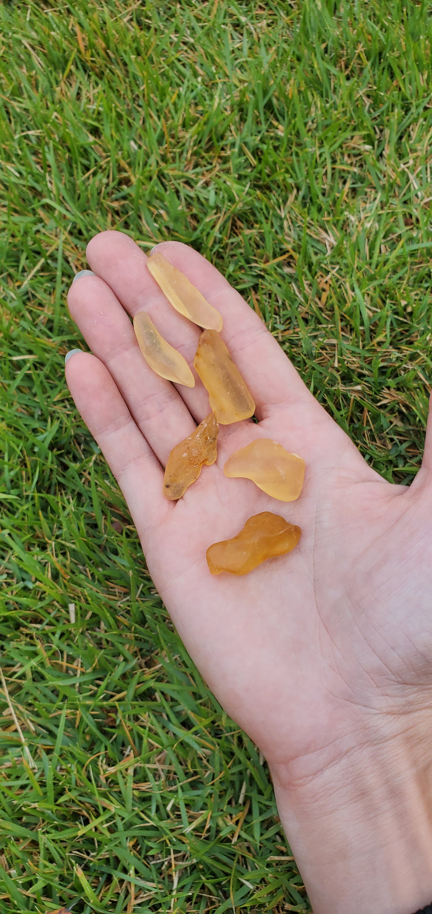 Copal Amber