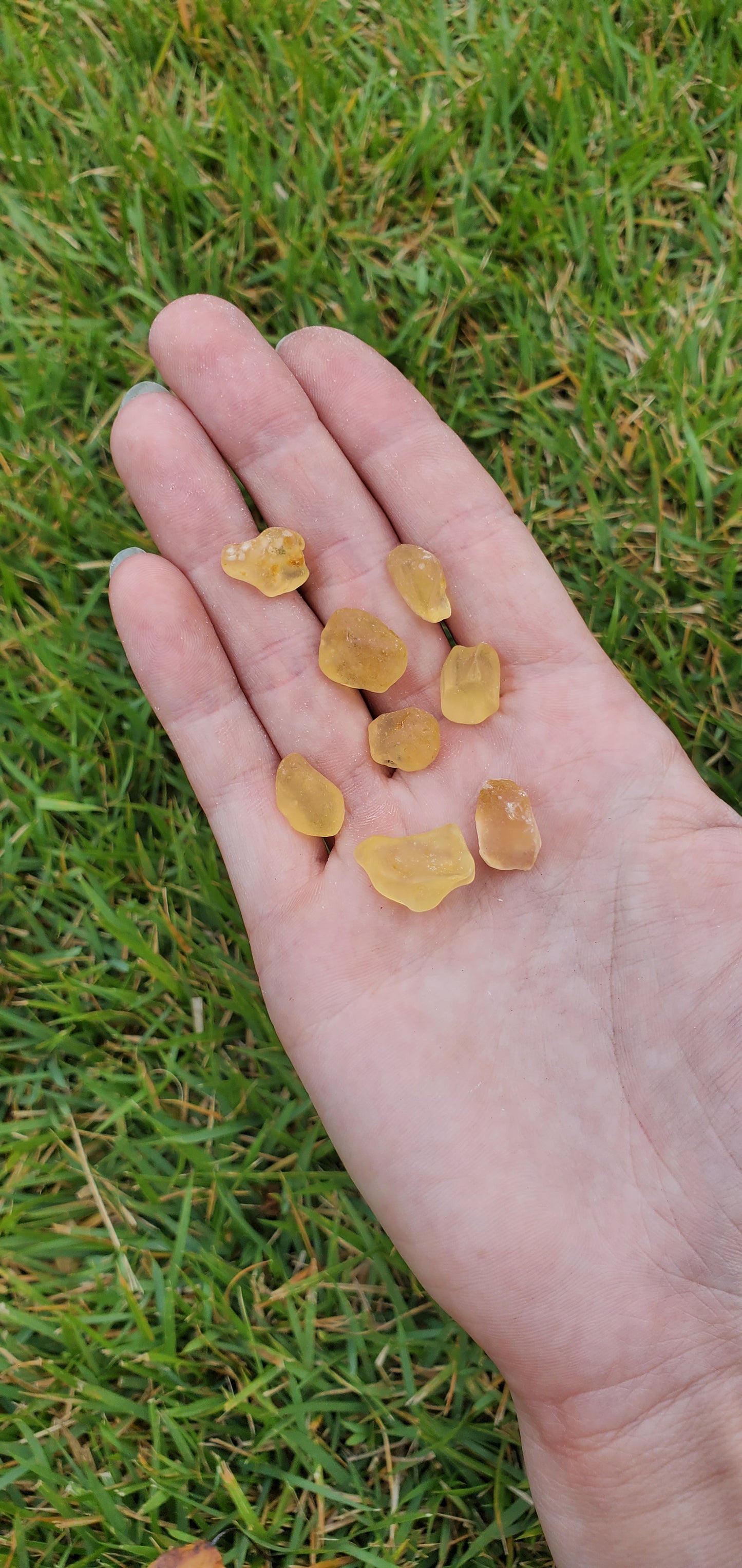 Copal Amber