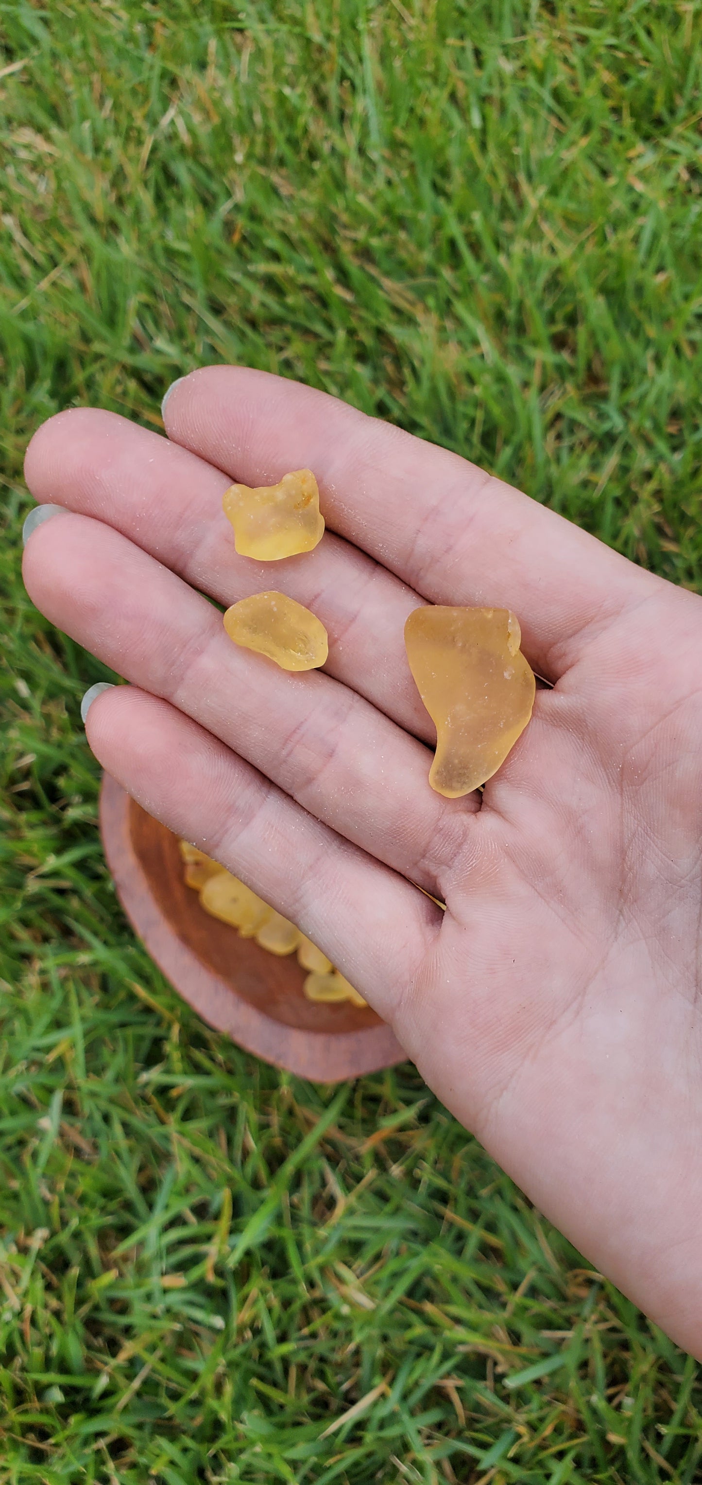 Copal Amber