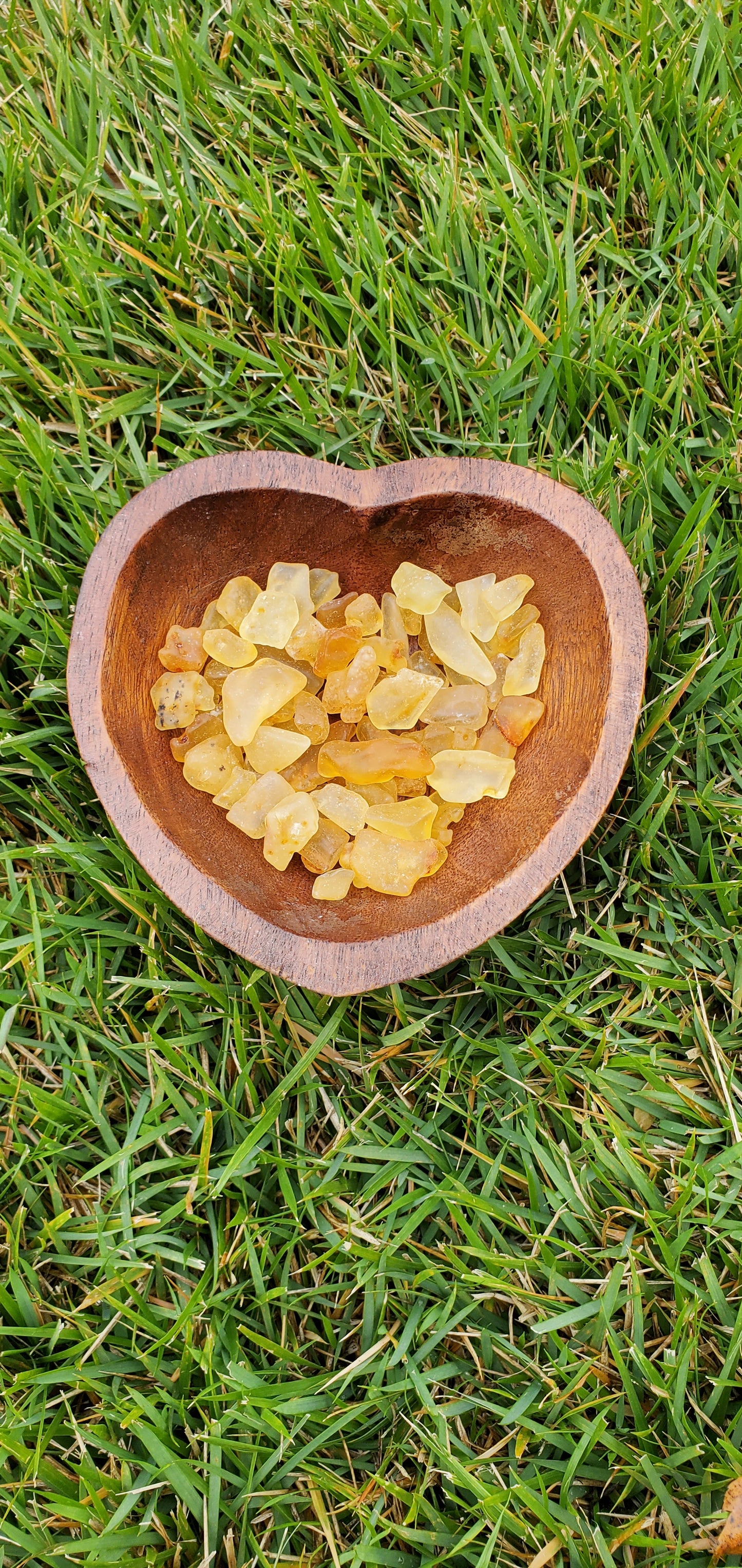 Copal Amber