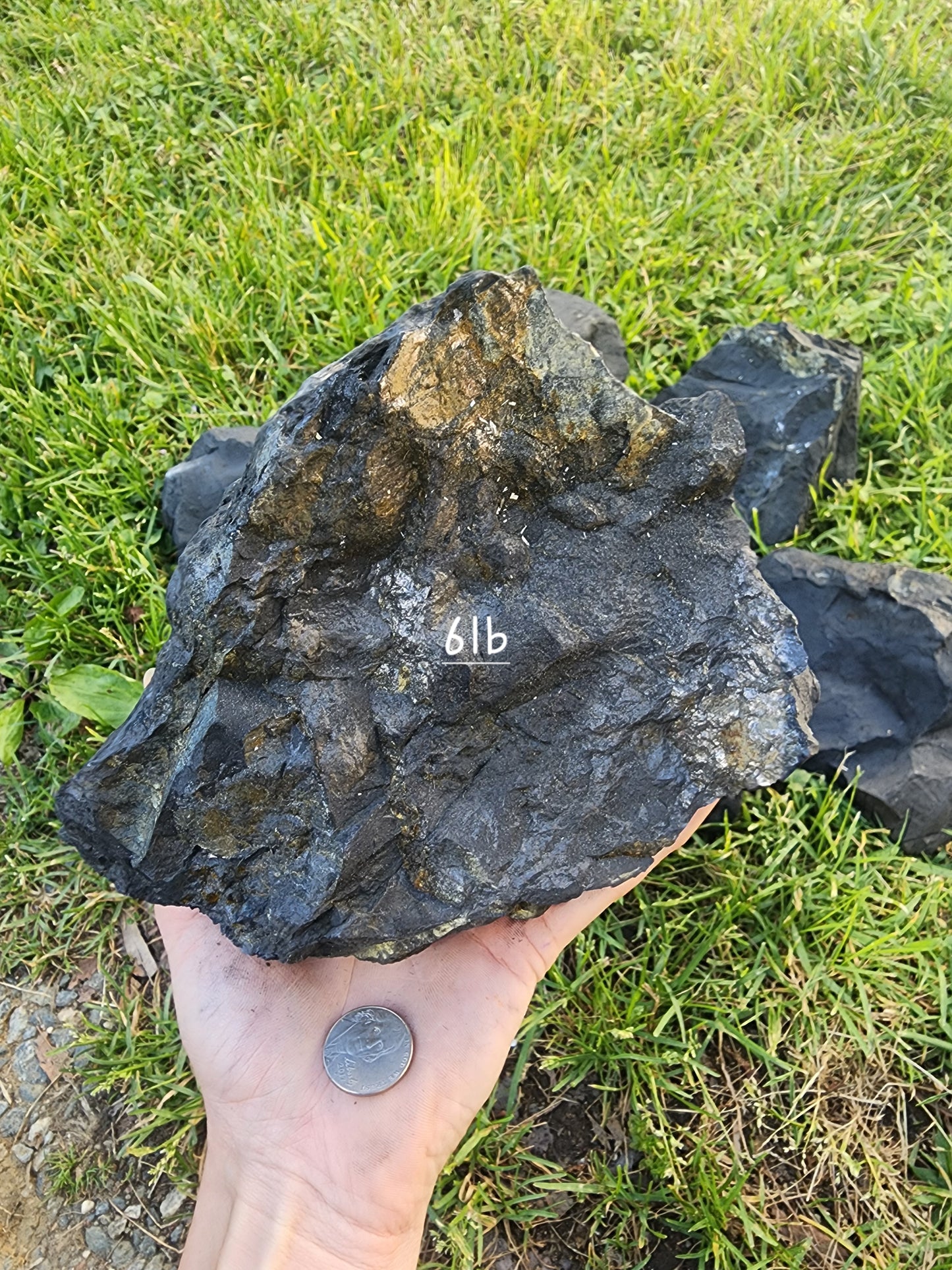 Shungite Large Rough stone
