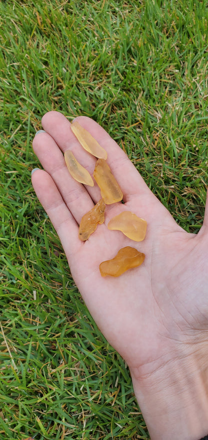 Copal Amber