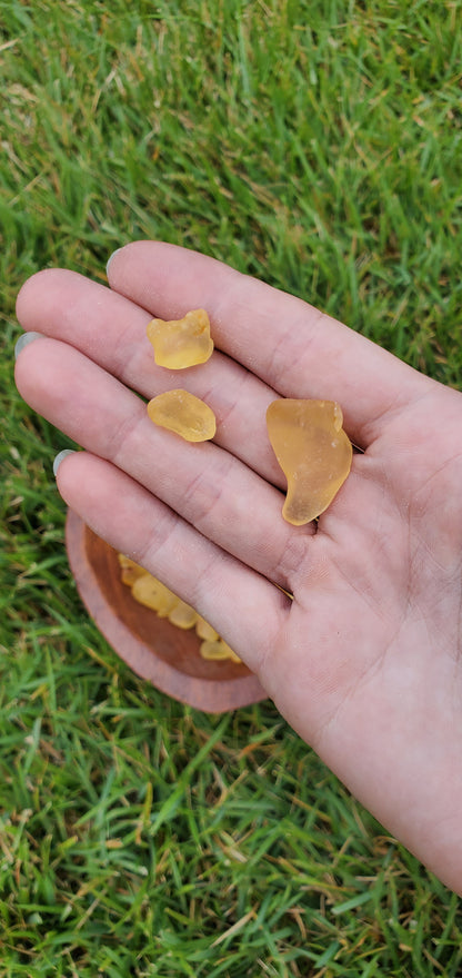 Copal Amber