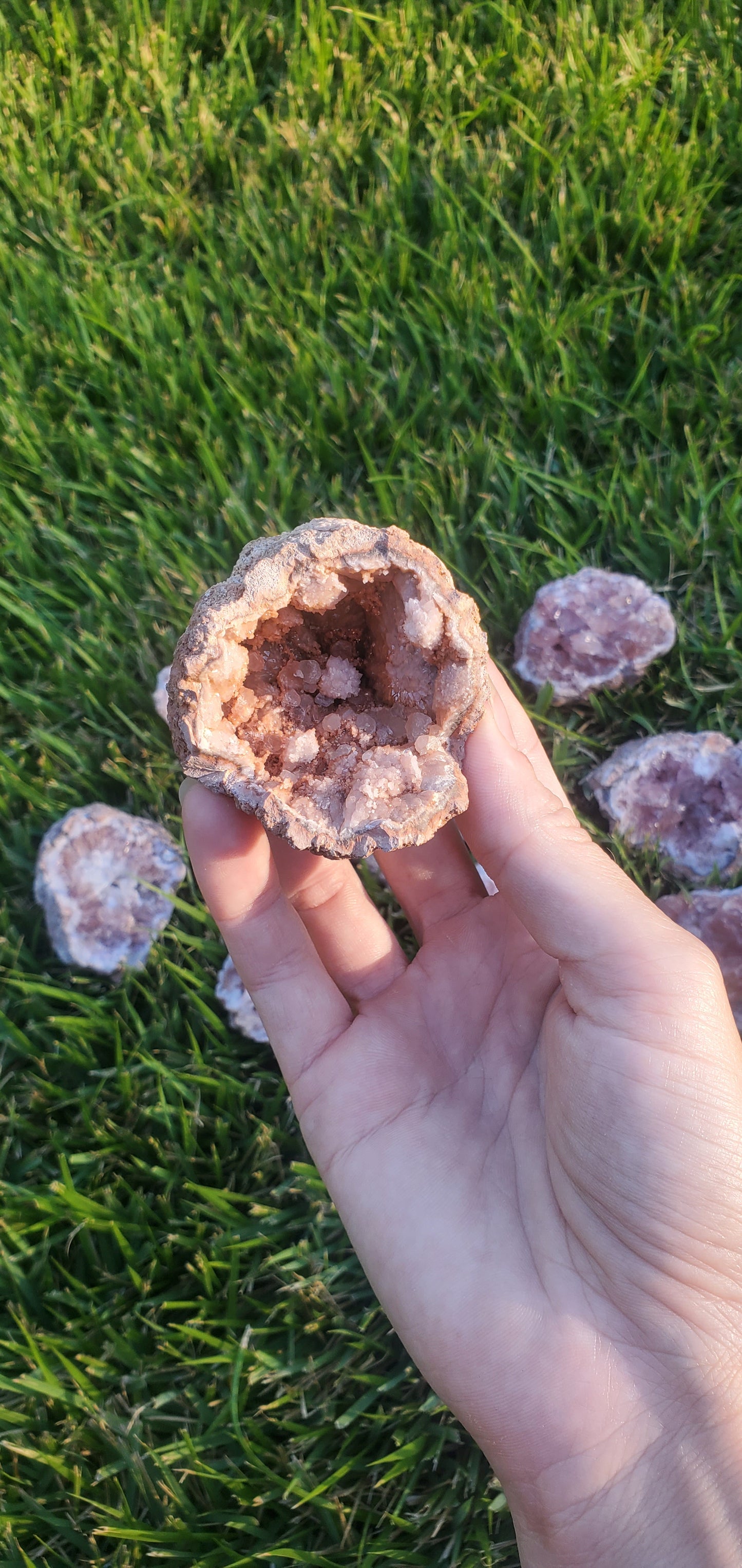 Pink Amethyst Geode